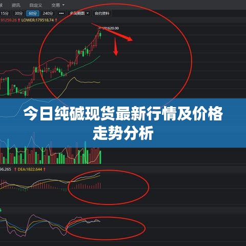 今日纯碱现货最新行情及价格走势分析
