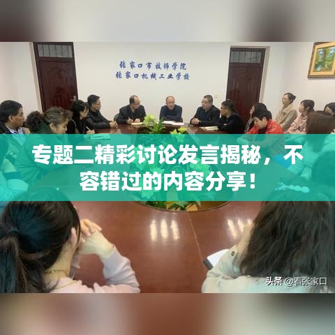 专题二精彩讨论发言揭秘，不容错过的内容分享！