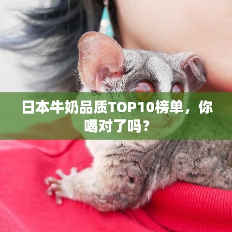 日本牛奶品质TOP10榜单，你喝对了吗？