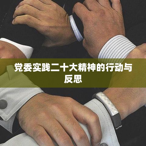 党委实践二十大精神的行动与反思