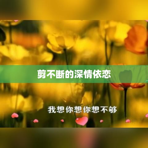 剪不断的深情依恋