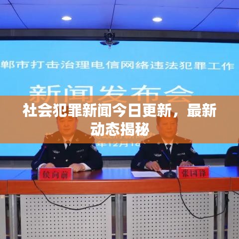 社会犯罪新闻今日更新，最新动态揭秘
