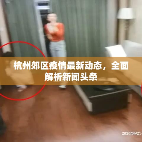 杭州郊区疫情最新动态，全面解析新闻头条