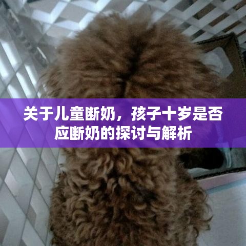 关于儿童断奶，孩子十岁是否应断奶的探讨与解析