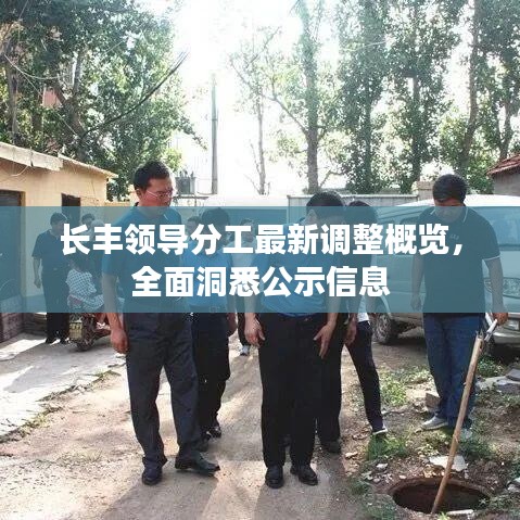 长丰领导分工最新调整概览，全面洞悉公示信息