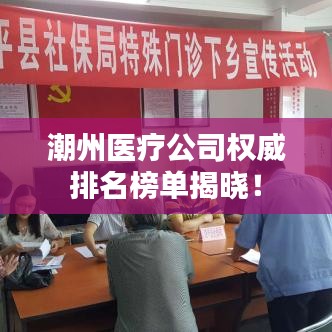 潮州医疗公司权威排名榜单揭晓！