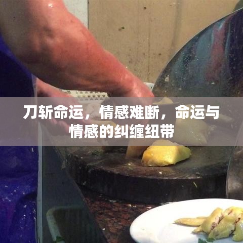 刀斩命运，情感难断，命运与情感的纠缠纽带