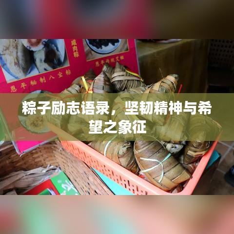粽子励志语录，坚韧精神与希望之象征