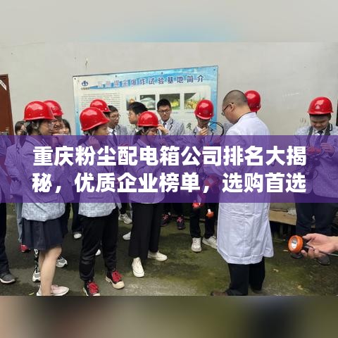 重庆粉尘配电箱公司排名大揭秘，优质企业榜单，选购首选参考！
