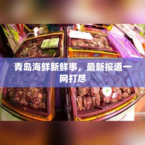 青岛海鲜新鲜事，最新报道一网打尽