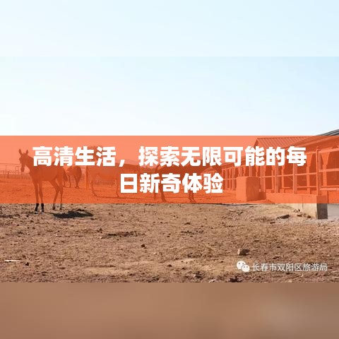高清生活，探索无限可能的每日新奇体验