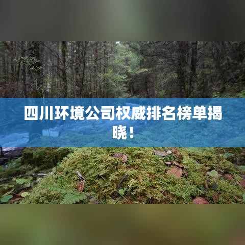 四川环境公司权威排名榜单揭晓！