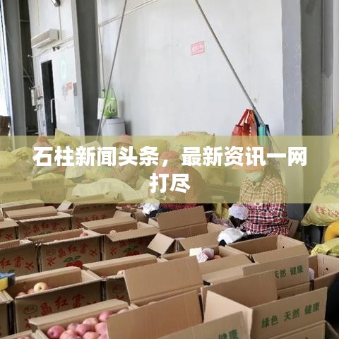 石柱新闻头条，最新资讯一网打尽