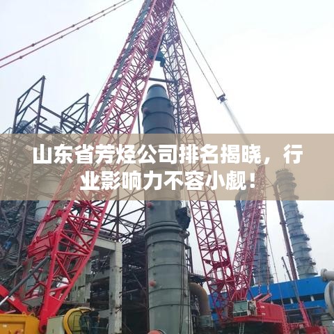 山东省芳烃公司排名揭晓，行业影响力不容小觑！