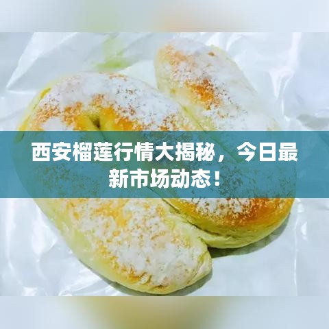 西安榴莲行情大揭秘，今日最新市场动态！
