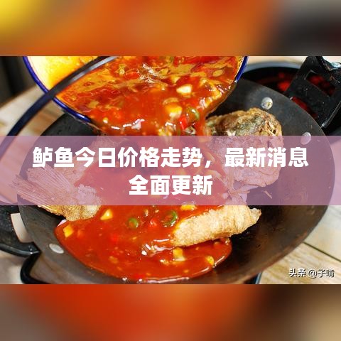 鲈鱼今日价格走势，最新消息全面更新