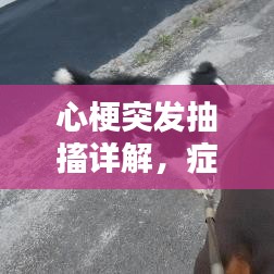 心梗突发抽搐详解，症状、原因与应对策略