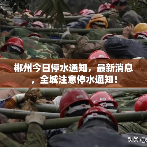 大惊失色 第2页