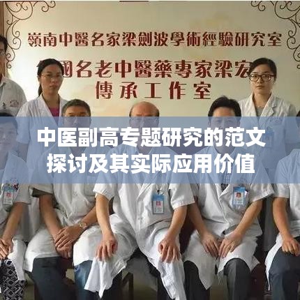 中医副高专题研究的范文探讨及其实际应用价值