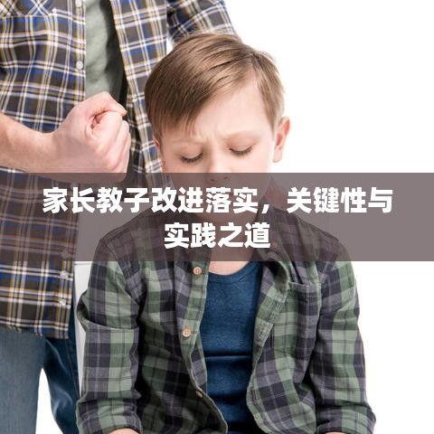 下载军旗官方手机版下载,专家分析解释定义-免费版1_v10.698