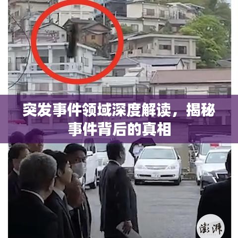 突发事件领域深度解读，揭秘事件背后的真相