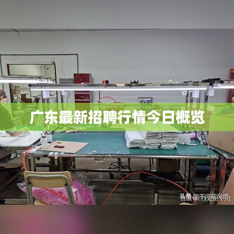 一往无前 第2页