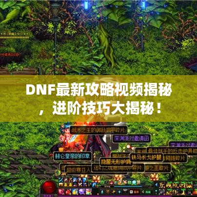 DNF最新攻略视频揭秘，进阶技巧大揭秘！