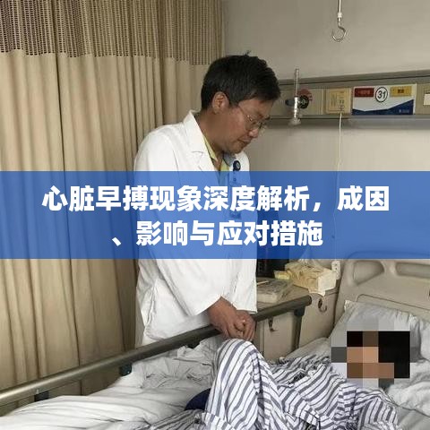 正襟危坐 第2页
