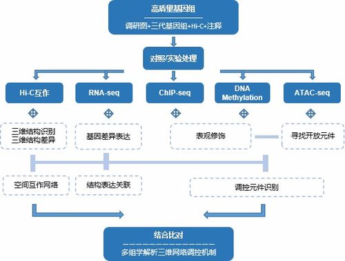 aics5官方下载,深入分析定义策略&amp;Harmony_v2.286