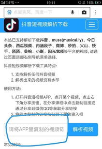 黄豆app 官方下载介绍及其软件许可证类型解析