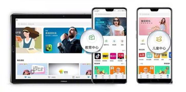 华为最新版本下载,环境适应性策略应用-9DM_v3.348