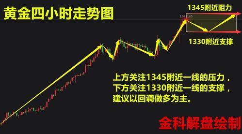 鸟声兽心