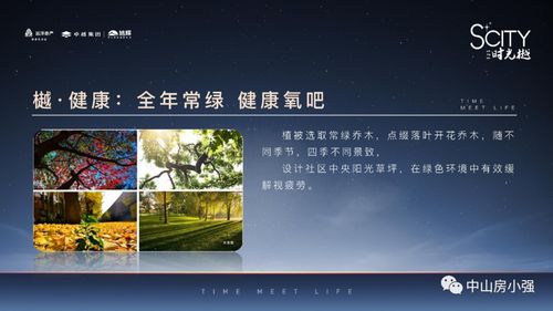 栖冲业简