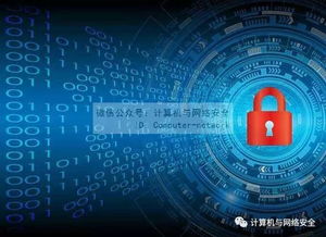 app应用 第5页