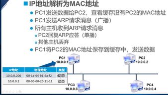 2017旧版本派派,理论解答解析说明_苹果款_v2.793