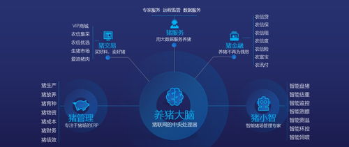 赚淘淘官方下载,实地分析数据设计-3DM_v10.883