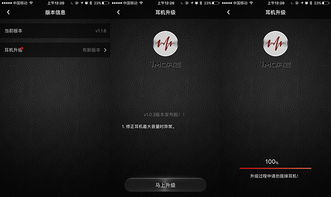 全能解码播放器老版本,精细策略分析|冒险款_v3.165