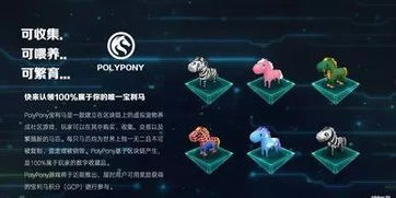 鑫考云旧版本，高效性实施计划解析的神秘宝藏