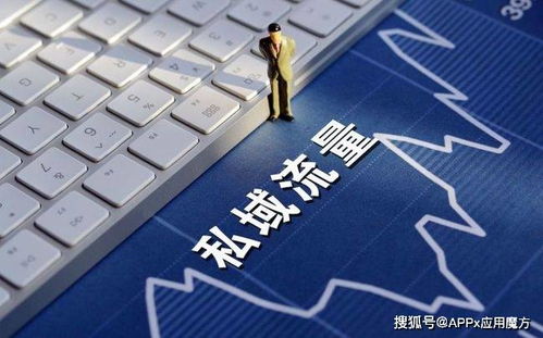 发掘宝藏，揭秘s7edge版本，深入执行计划数据LT_v3.265软件的独特魅力