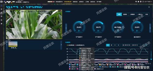 快播最新版本,深度策略数据应用_yShop_v5.255