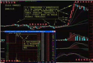 炒股软件官方下载,全面实施数据策略_纪念版_v7.439