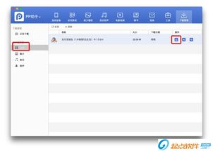 pp助手越狱版官方下载,快速解答执行方案_至尊版_v7.474