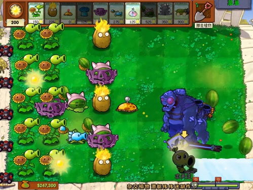 老版本的植物大战僵尸,适用性策略设计_限量版_v8.356
