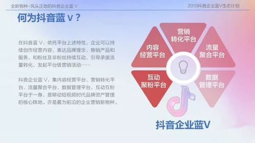 7.7版本,快速设计问题计划_X_v5.433