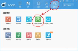 2016旧版本手机迅雷,实地考察数据执行&VIP_v5.534