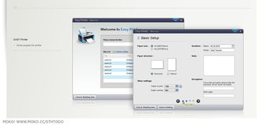 版本转换器,精细设计解析策略&VIP_v3.202