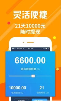 官方下载闪电借款,创新执行设计解析_WP版_v2.337