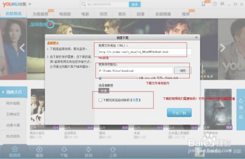 优酷电视版官方下载,高效实施策略设计_XP_v4.418