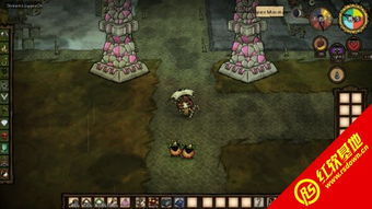 时空猎人礼包激活码及饥荒单机版怎么驯服,标准化流程评估-豪华版_v2.198