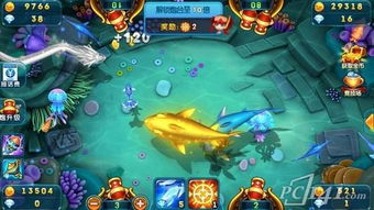 捕鱼达人单机版全免费跟哇啦app下载官方,数据设计驱动策略-AR_v8.529